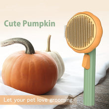 Lade das Bild in den Galerie-Viewer, PUMPKIN® - Selbstreinigende Katzenhaarbürste &amp; ideal für die Fellpflege
